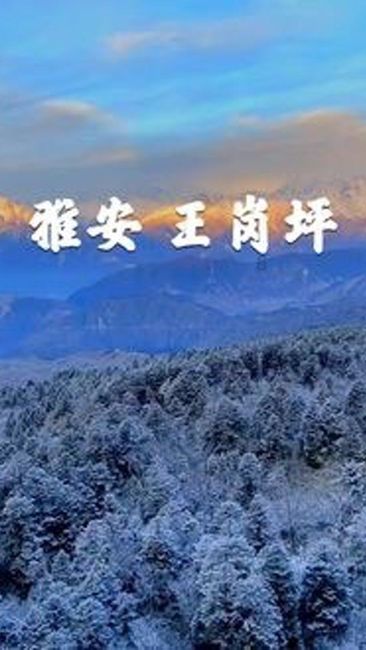 闺蜜分手了,她还想着他,我要劝她复合嘛?-闺蜜分手了,她还想着他,我要劝她复合嘛?红迪网平台