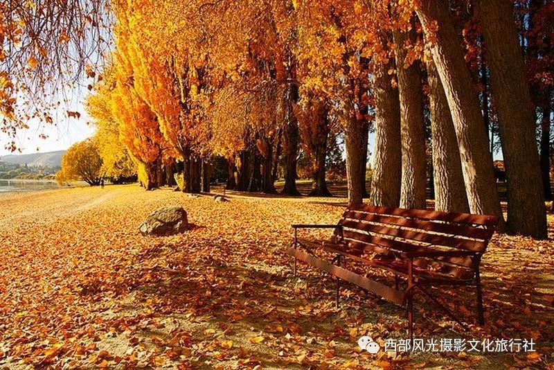经常熬夜对身体有什么影响？