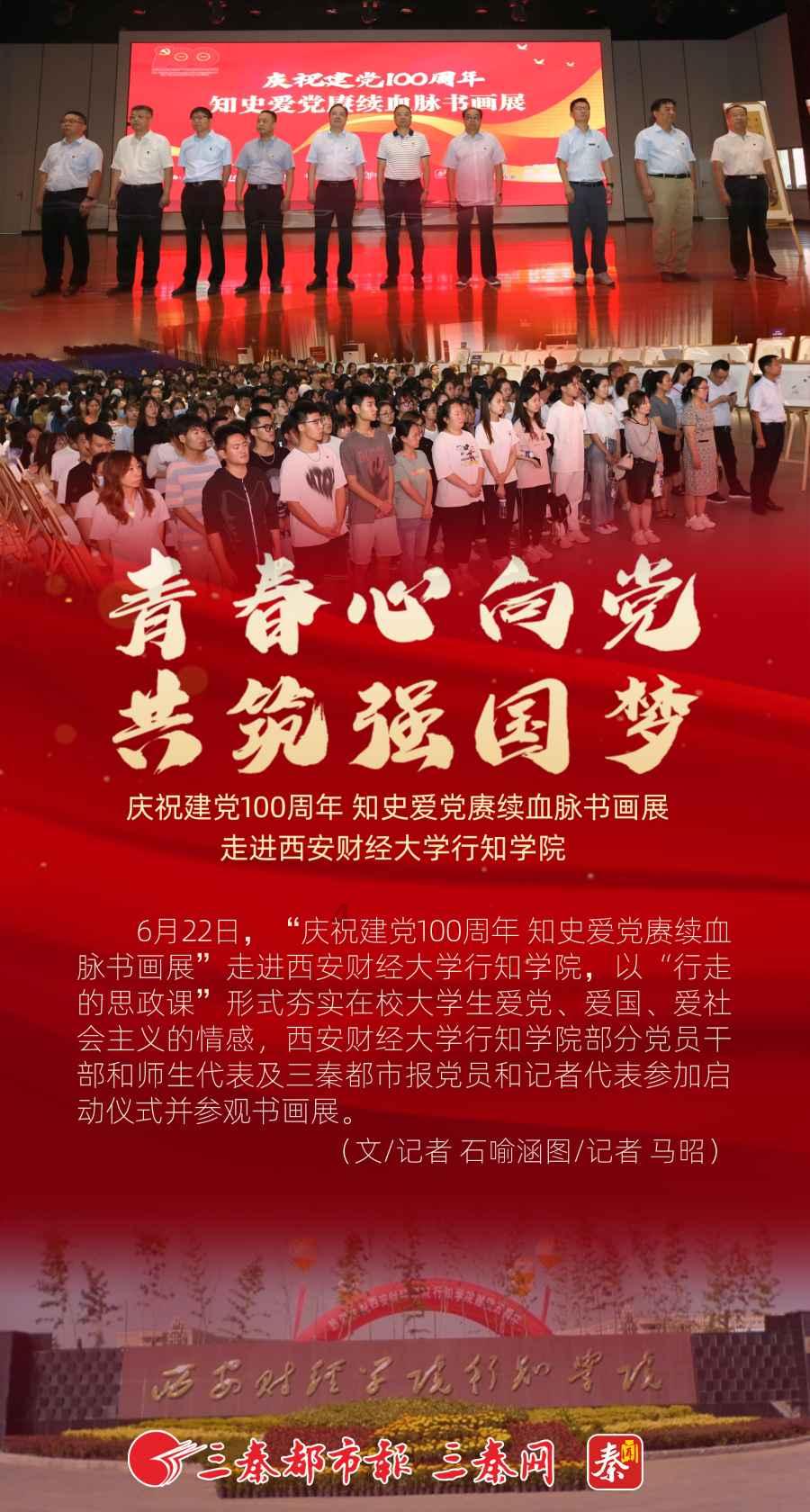 月光影视